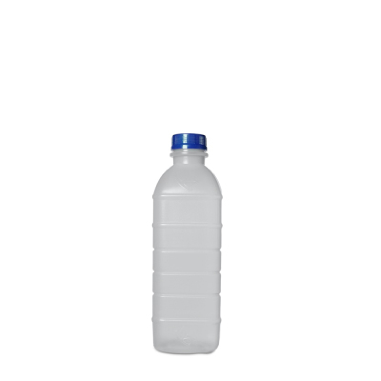 Garrafa Natural 300ml